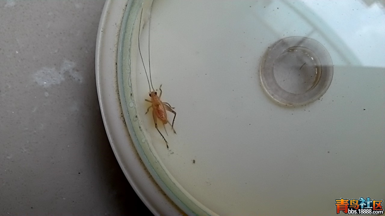 2013_0823_0707_41.jpg