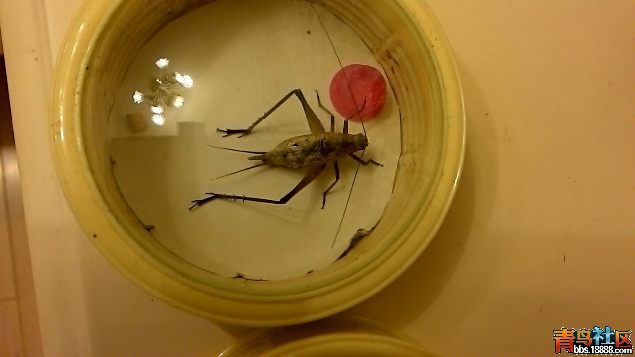 2013_0813_2243_10.jpg