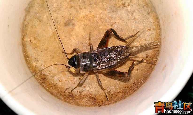 IMAG0438.jpg