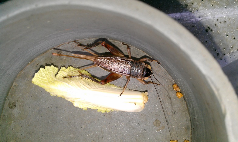 IMAG0439.jpg
