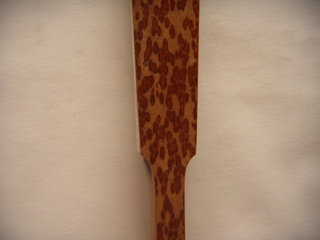 DSCN5315.JPG