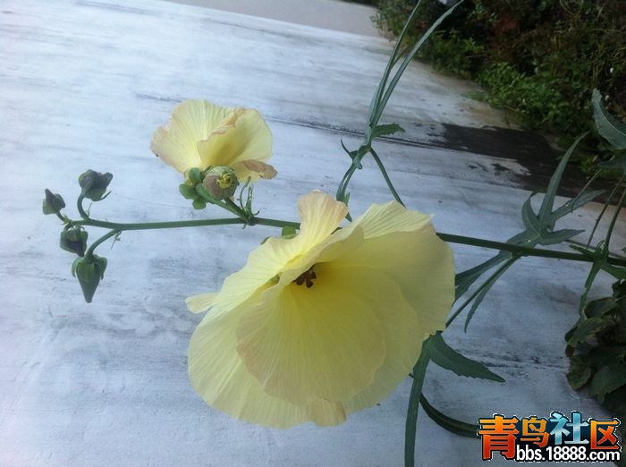 照片 087.jpg