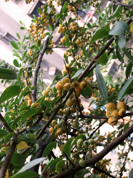 DSCF7359_调整大小.jpg