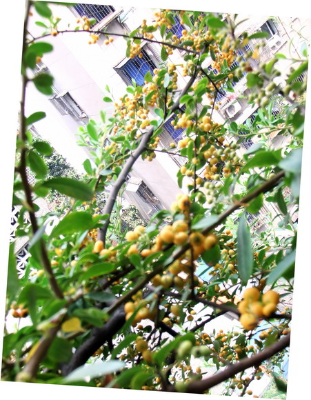 DSCF7357_调整大小.jpg