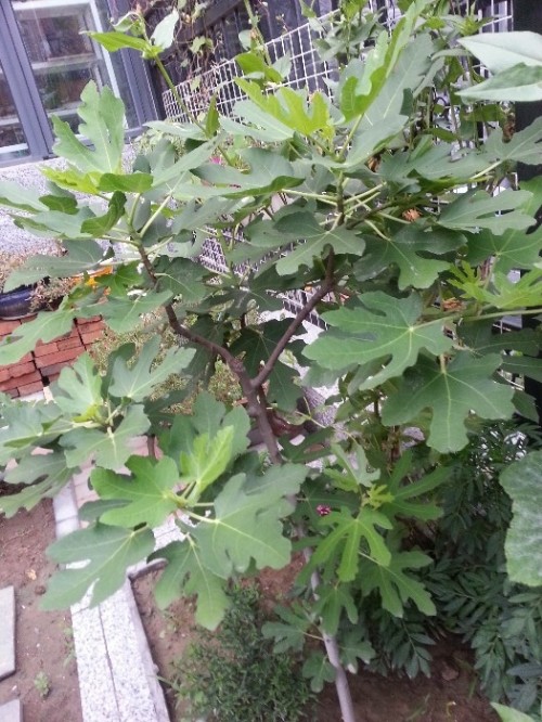 20130906_063430.jpg