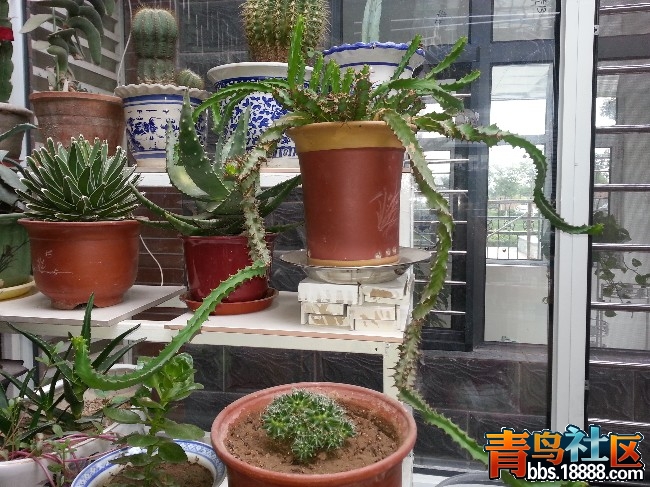 20130921_165130_副本.jpg