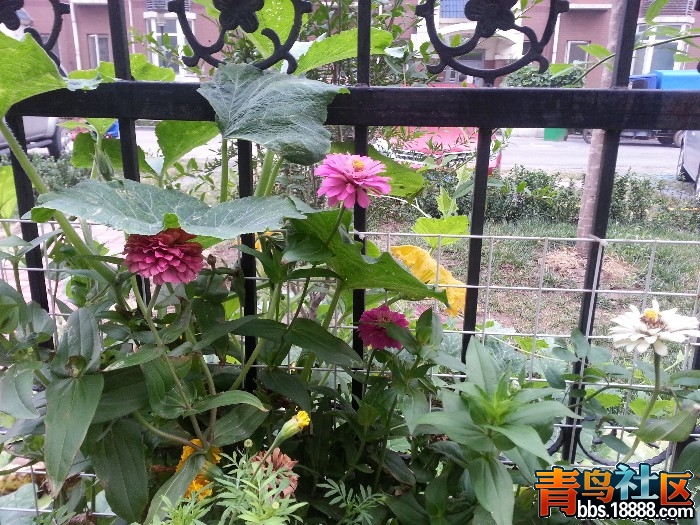 20130906_063313.jpg