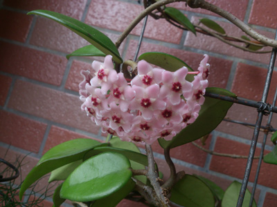 DSC_2823.jpg