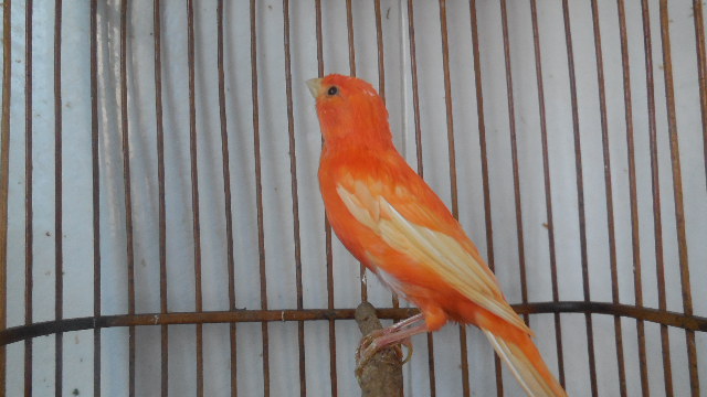 903 003.jpg