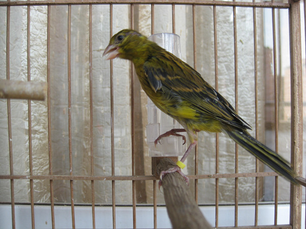 IMG_3422_副本.jpg