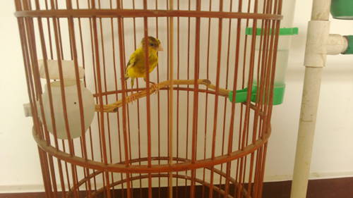 WP_20130923_016.jpg