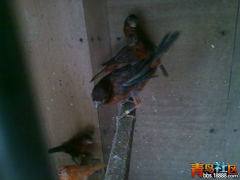201308311021.jpg