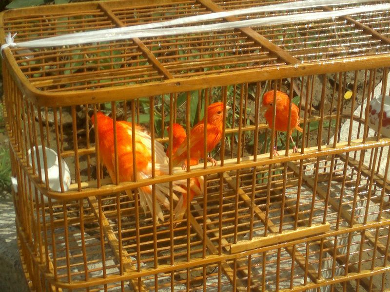201309241184.jpg