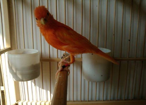 QQ&#22270;&#29255;20130910090241.jpg