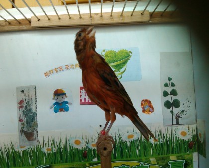 QQ图片20130912132532.jpg