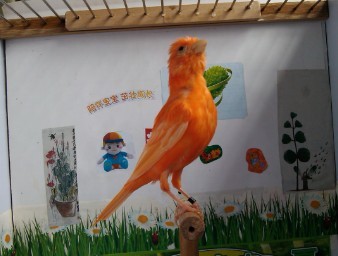 QQ图片20130904105946.jpg