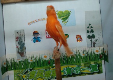 QQ图片20130912132227.jpg