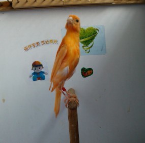 QQ图片20130904110606.jpg