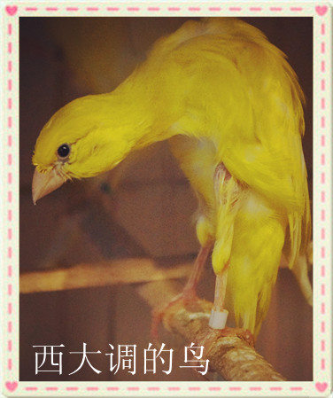 DSC02102_副本.jpg