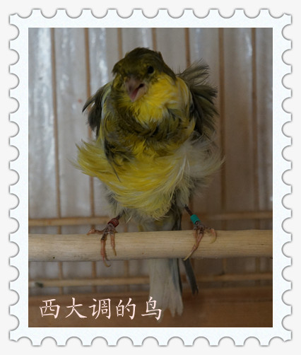 DSC02152_副本.jpg
