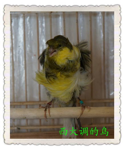 DSC02151_副本.jpg