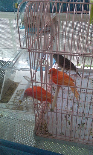 IMAG0355.jpg