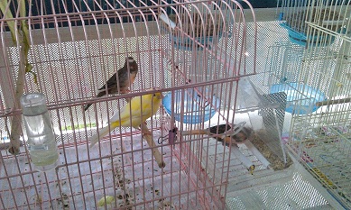 IMAG0357.jpg