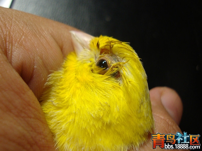 DSC06741_副本_副本.jpg