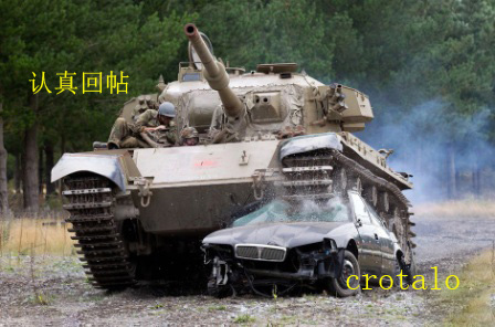to crotalo 16.jpg