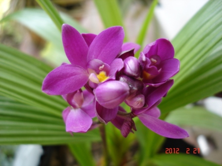 DSC00108-a.jpg