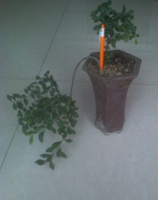 QQ图片20130916181026.jpg