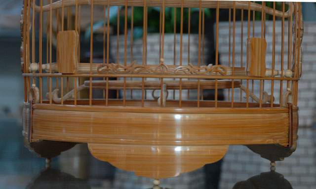 DSC_0014.JPG