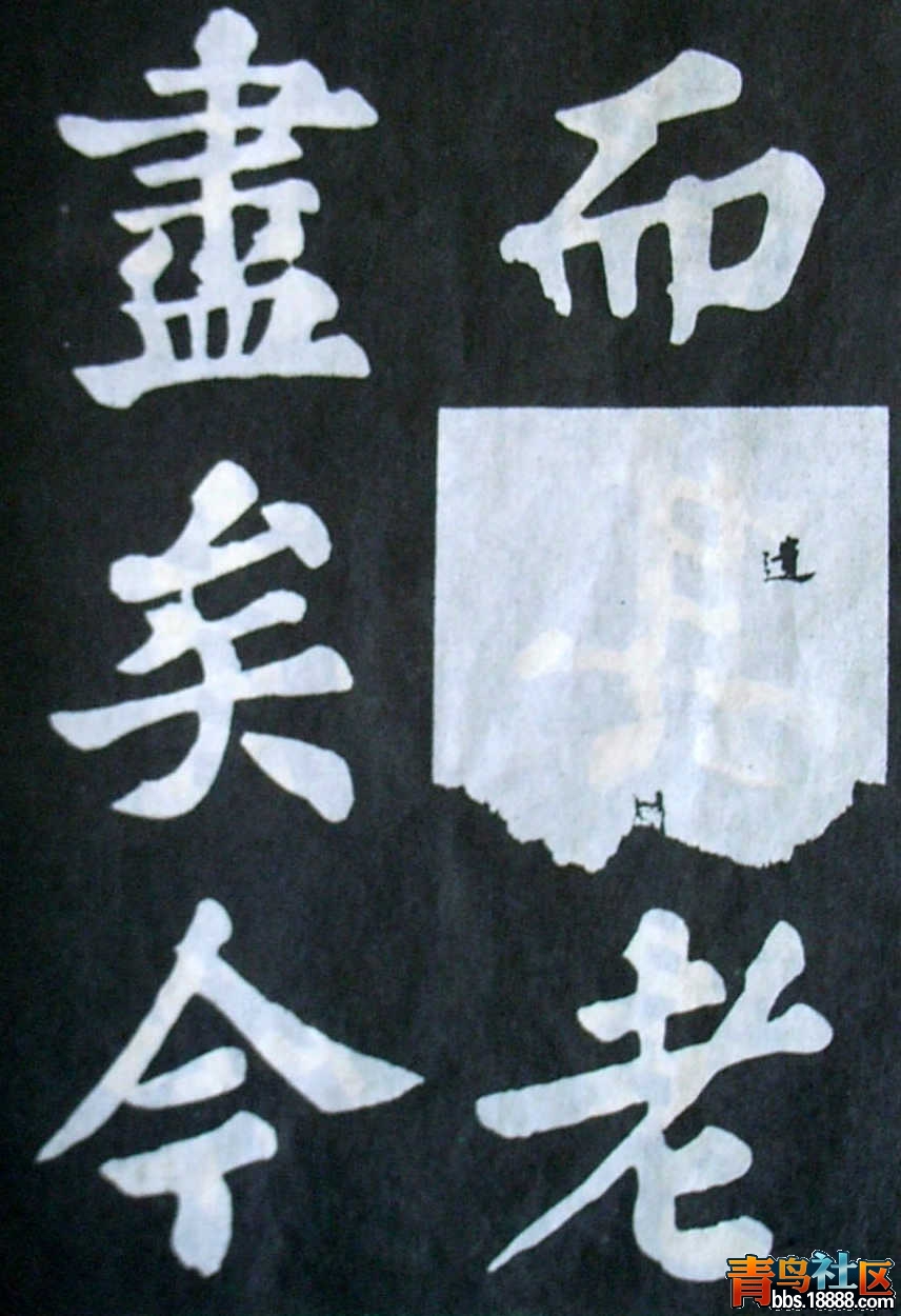 4343.jpg