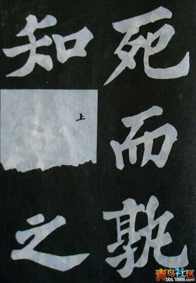 5050.jpg