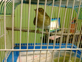QQ图片20130915183519.jpg