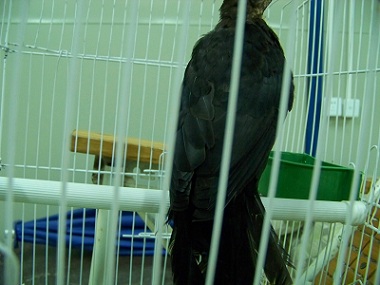 100_1530.JPG