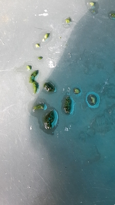 nEO_IMG_20130924_090515.jpg