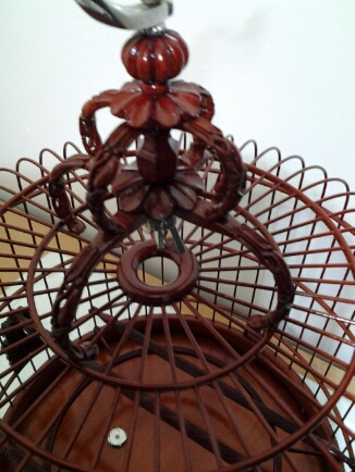 20130905_211612.jpg