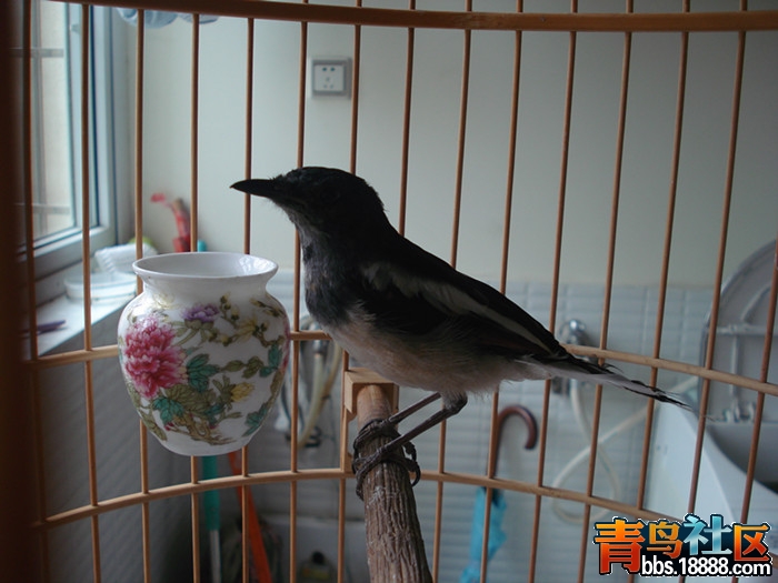 DSC06220_副本.jpg