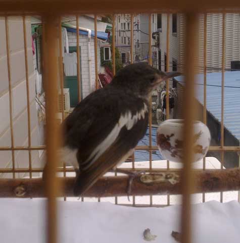 20130918659.jpg