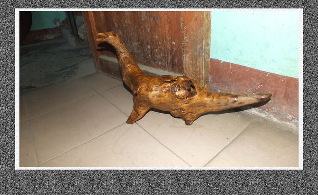 DSCF1856.JPG
