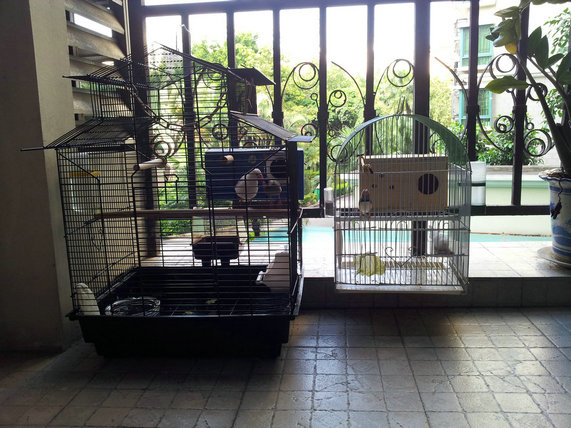 20130918_084047.jpg