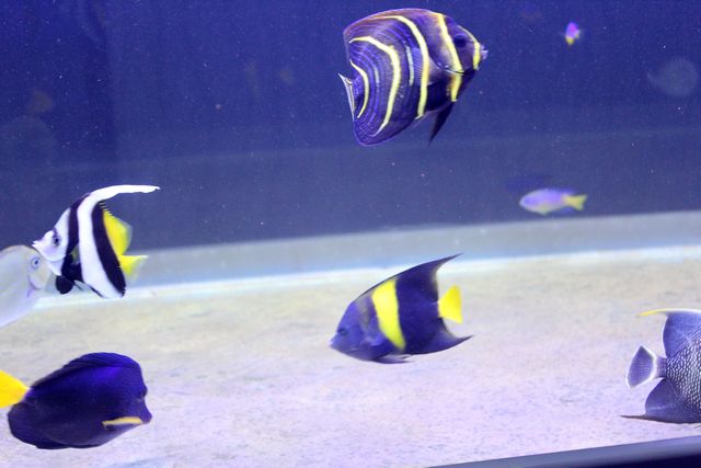 IMG_7415.JPG