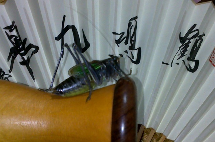 QQ图片20130927094304.jpg