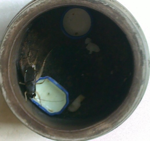 QQ图片20130916084104.jpg