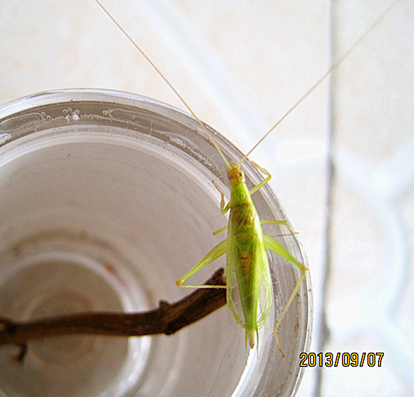 IMG_1122[1]_副本.jpg