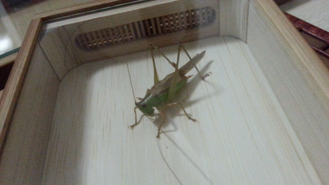 20130911_223257.jpg