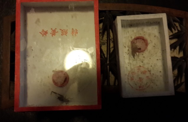 QQ图片20130908212542.jpg
