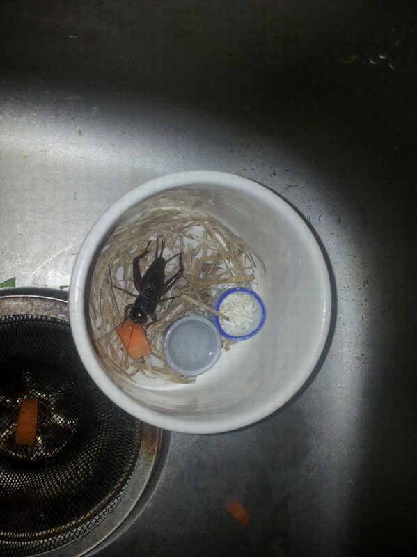 20130925_180717.jpg