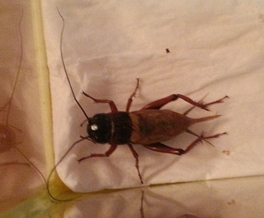 20130903_221151_副本.jpg